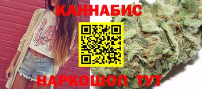 индика Заволжье