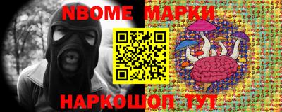 индика Заволжье