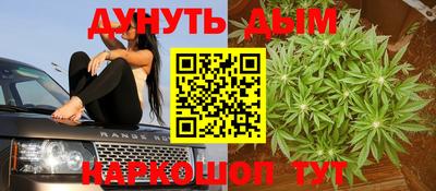 прущие грибы Ирбит