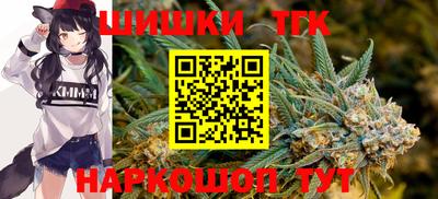 индика Заволжье