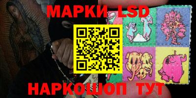 индика Заволжье